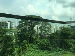 The Raintree (D21), Condominium #119364232